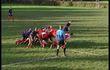 Sport-étude : rugby